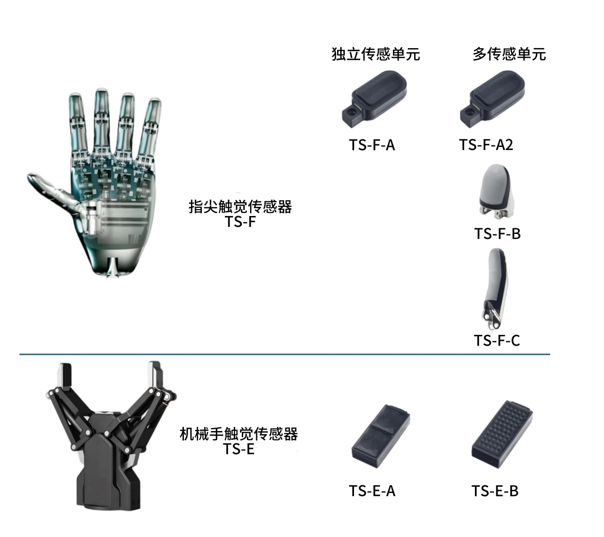 WechatIMG3529_副本.jpg